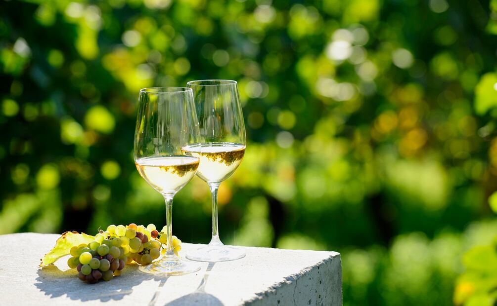 Día Mundial de la Chardonnay. Foto: Stock