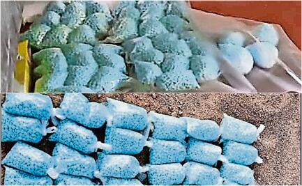 “Destrucción de drogas, una labor muy especializada”