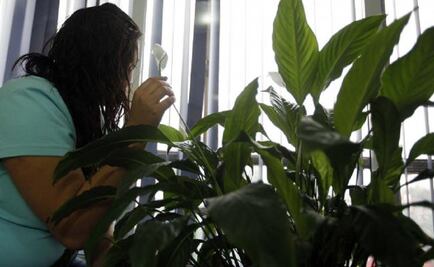 Sexual violence in Mexico grew over the last five years