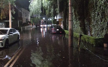 Lluvias dejan 47 árboles caídos y 17 encharcamientos en CDMX; zonas poniente y sur, las más afectadas