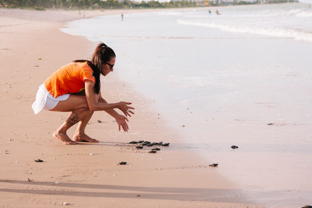 Además de disfrutar del surf puedes salvaguardar y liberar tortugas de mar. (Foto: Cortesía Nomad Republic)