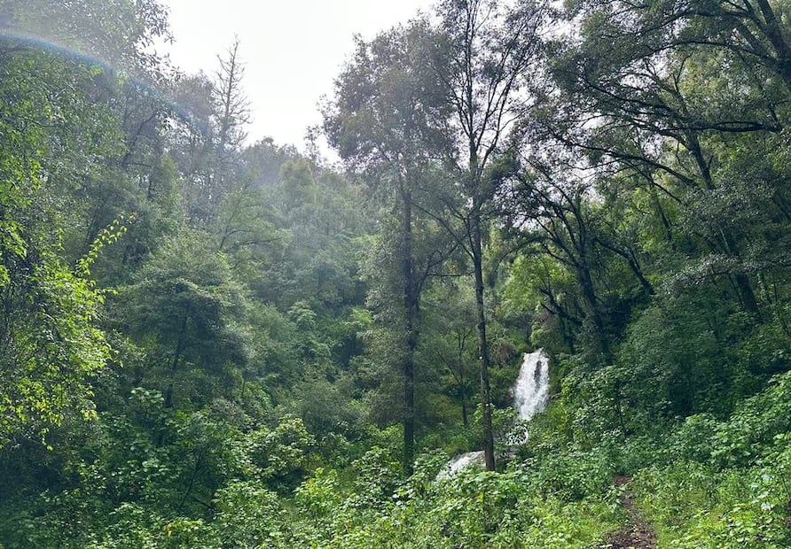 Foto: Omar Moreno. El Universal