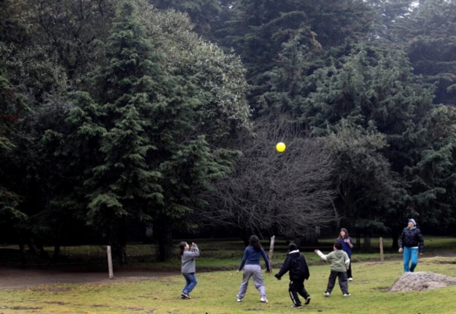 5 grandes lugares para hacer un picnic en CDMX