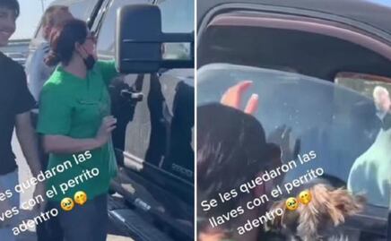 Perro queda encerrado en un carro y gracias a su habilidad se salva