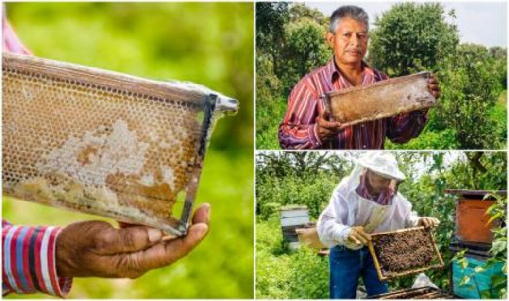 Prueba los sabores de la ruta de la milpa