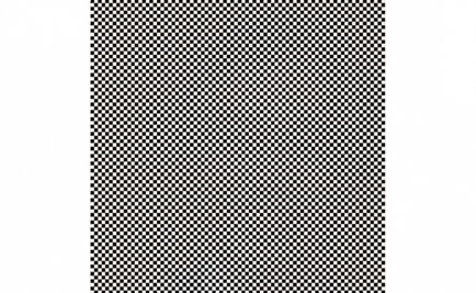 Ilusión óptica: ¿Puedes ver el retrato oculto de esta persona?