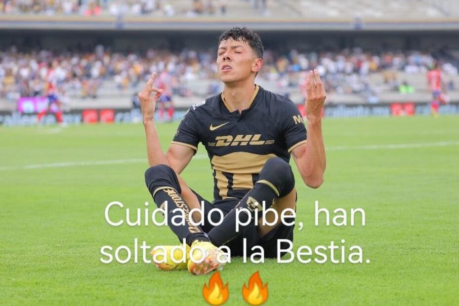 Pumas Memes