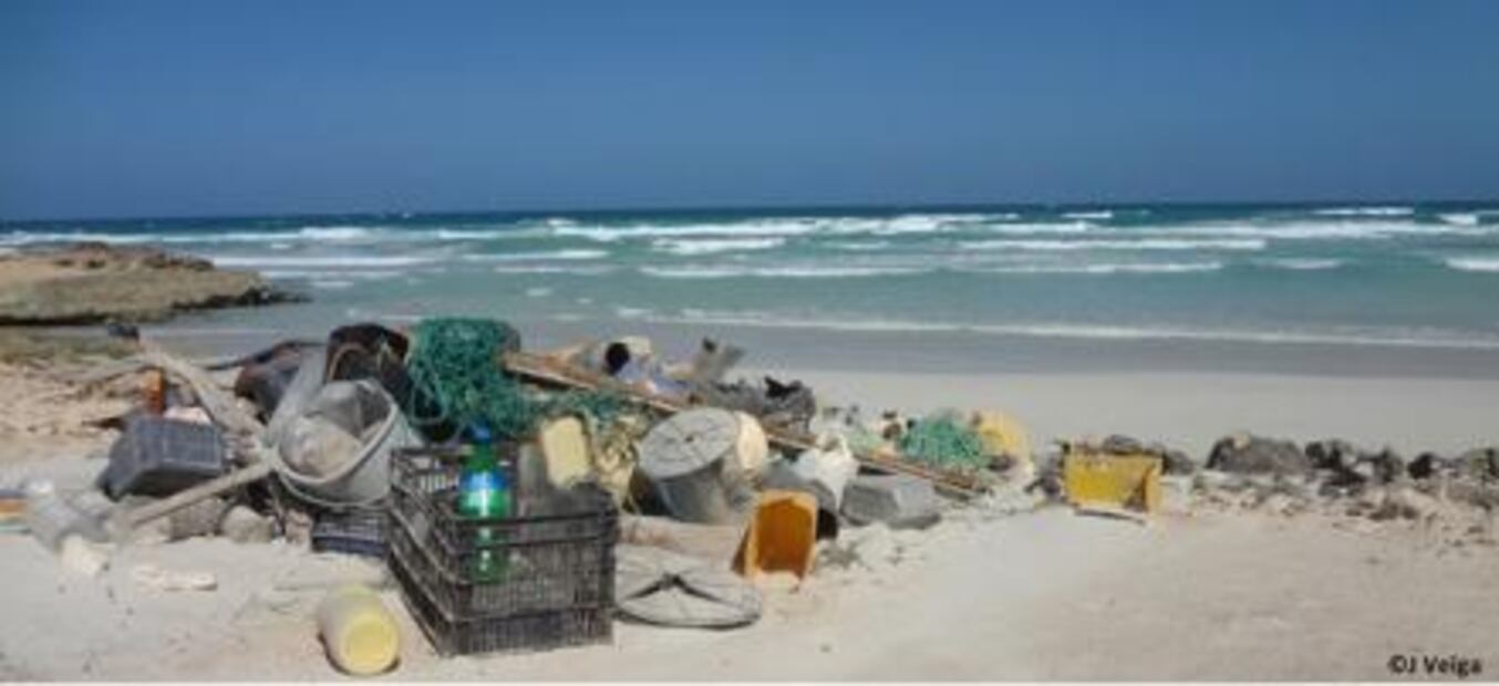 Desde el espacio luchan contra la contaminación por plásticos en el mar