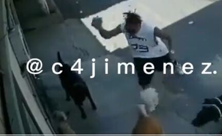 En video, captan a sujeto que golpea con una piedra a lomito en Ecatepec