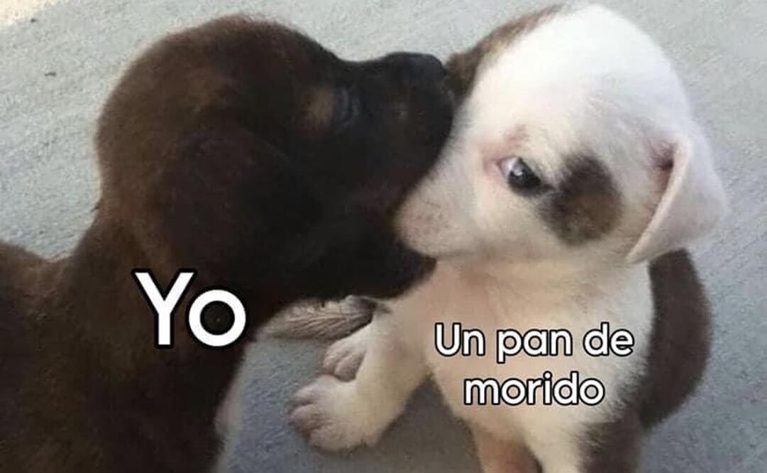 Algunos usuarios empiezan a saborear el exquisito pan de muerto. Foto: X