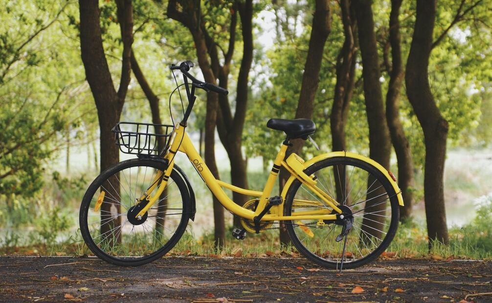 Rodada literaria en el Bosque de Chapultepec. Foto: Unsplash