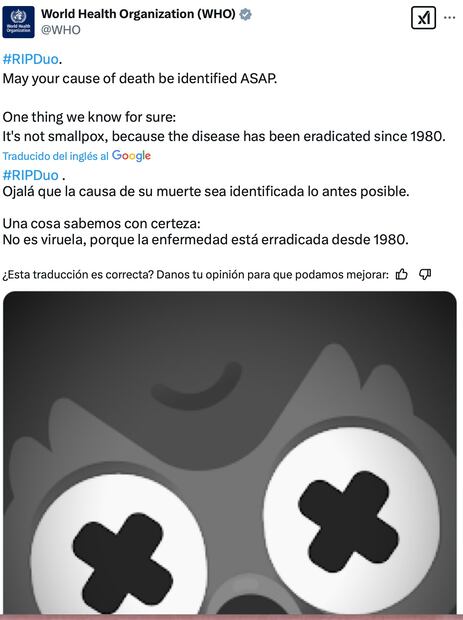 OMS pide aclarar muerte de mascota de Duolingo. Foto: Captura de pantalla