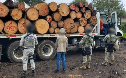 Profepa y Guardia Nacional desmantelan aserradero ilegal en Morelos; participan más de 40 elementos en el operativo