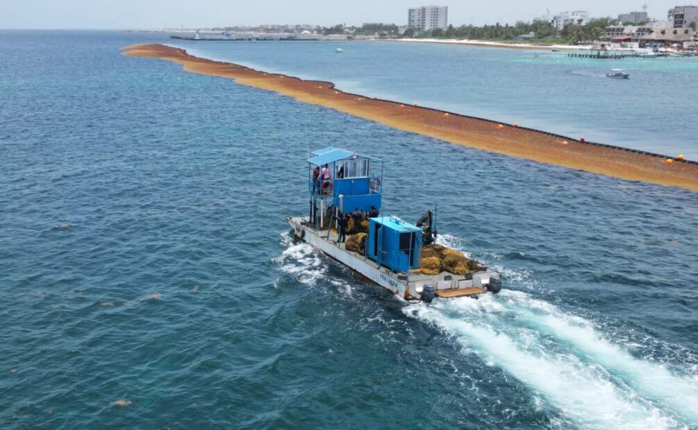 Continúan labores de limpieza de sargazo en playas de Quintana Roo (14/06/2025). Foto: Cortesía de Gobierno Municipal de Puerto Morelos