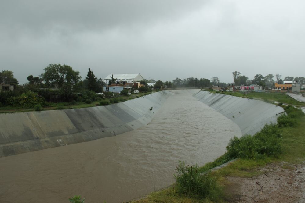 Foto: Dinorath Mota / EL UNIVERSAL