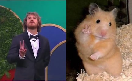 La Casa de Los Famosos 3: los mejores memes que dejó la tercera noche de eliminación; usuarios reaccionan a salida de Ninel Conde