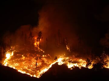 Muere bombero que combatía incendios forestales en Chile