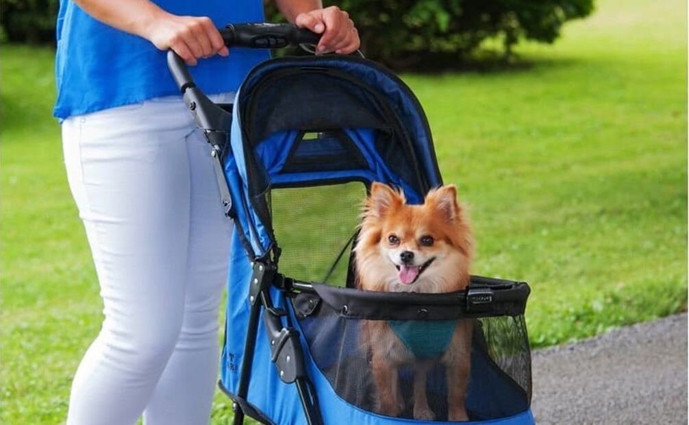 Una de las acciones para con las mascotas es pasearlas en una carriola en la calle. Foto: DOG RECOMMEND
