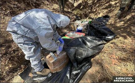 Ejército asegura 200 kilogramos de metanfetamina en Bacayopa, Sinaloa; Cártel del Pacífico tiene presencia en la zona