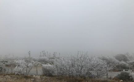 Registran hasta -6.5 grados en la sierra alta de Sonora