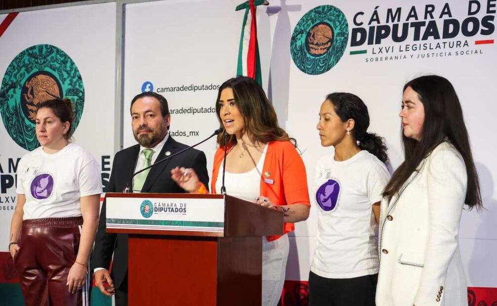 María Teresa Ealy presenta iniciativa desde San Lázaro. Foto: Especial