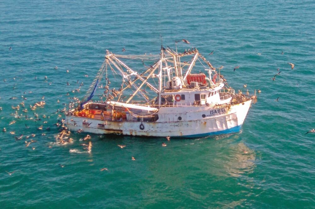La Conapesca vigilará 928 barcos en Baja California, para evitar la pesca de la vaquita marina. (ARCHIVO EL UNIVERSAL)