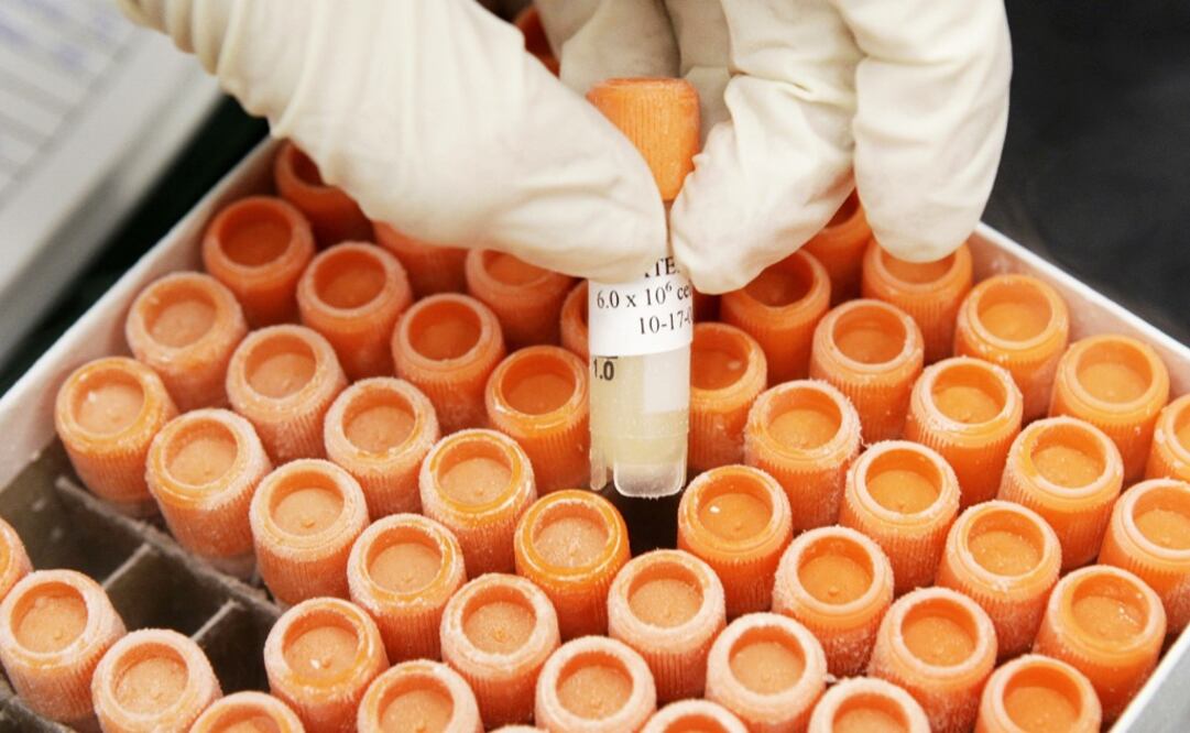 The company is carrying out researches to find more uses for stem cells – Photo: /Paul Sancya/AP