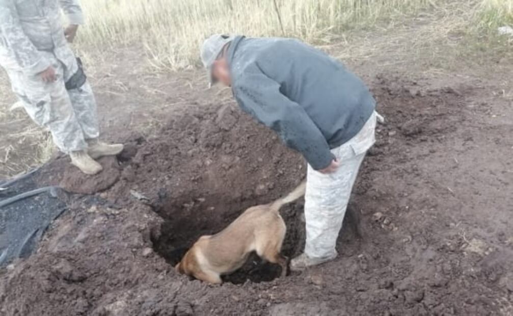 Localizan 6 tomas clandestinas en poliductos de Pemex en 4 estados