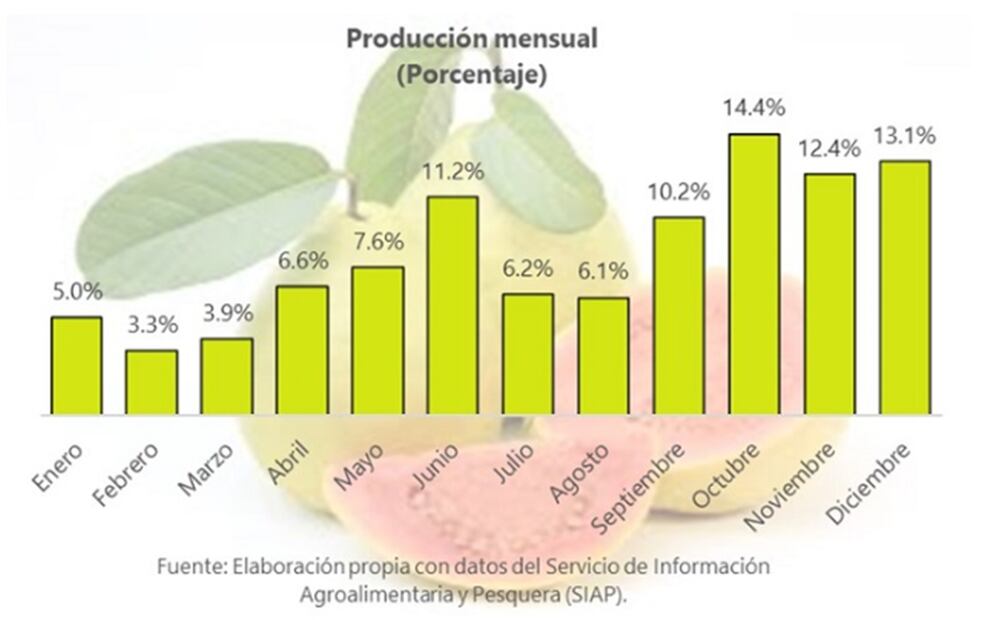 Beneficios al tomar agua de guayaba
Foto:  Servicio de Información Agroalimentaria y Pesquera