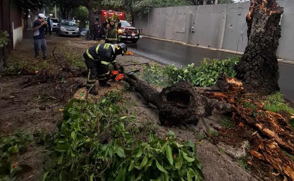 Intensas lluvias dejan afectaciones en la CDMX (10/08/2025). Foto: Especial