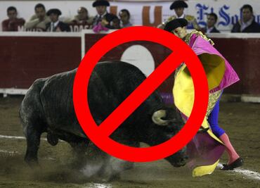 Diputado del PVEM presenta iniciativa para prohibir corridas de toros en Hidalgo; “esto no es arte, sino abuso”, señala