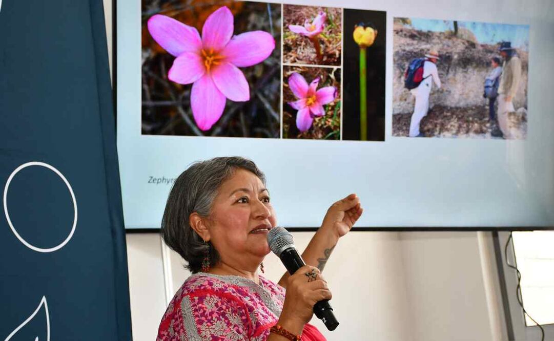 Presentación del libro Plantas con Semillas del Ecocampus y Ecoparque BUAP-CU2 / Foto: Especial