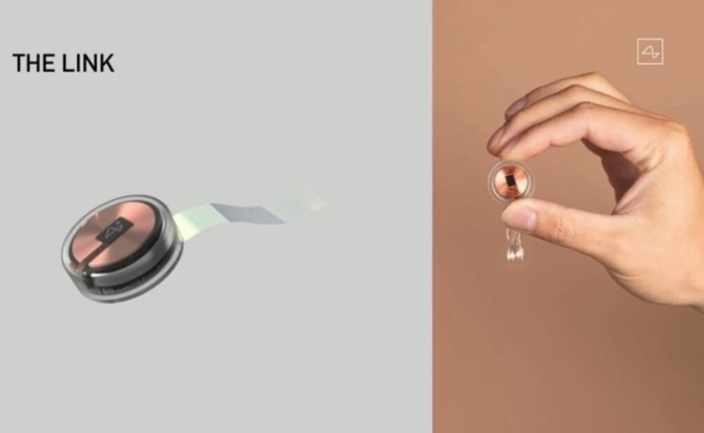Elon Musk presenta a los primeros cerdos con Neuralinks implantados en sus cerebros
