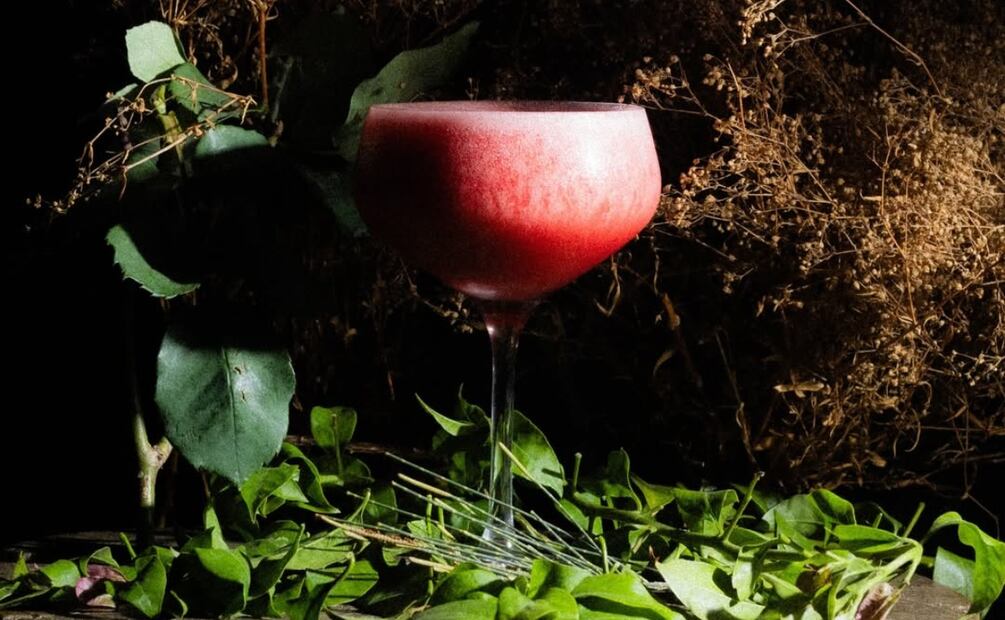 Xaman, un bar inspirado en la herbolaria y los espíritus nacionales. Foto: Instagram