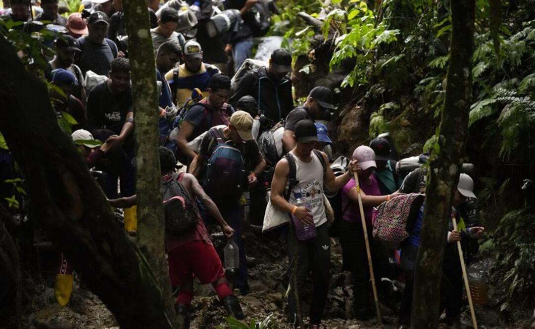 Migrantes, en su mayoría venezolanos, cruzan el Tapón del Darién desde Colombia hacia Panamá con la esperanza de llegar a Estados Unido. Foto: AP