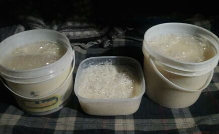 Incautan pulque cañero en reclusorios de la Ciudad de México