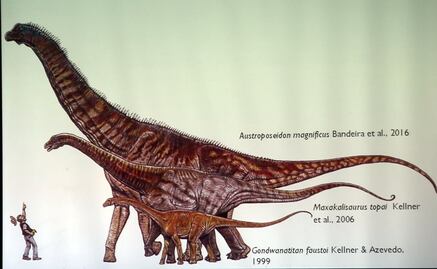 Investigadores anuncian descubrimiento del mayor dinosaurio de Brasil