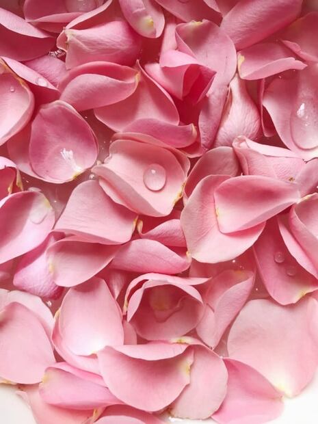 5 beneficios del agua de rosas en la piel