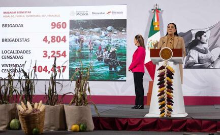 Bienestar: afectación por lluvias se atendió en tiempo "récord"; comunidades han regresado a su vida normal, dice Sheinbaum