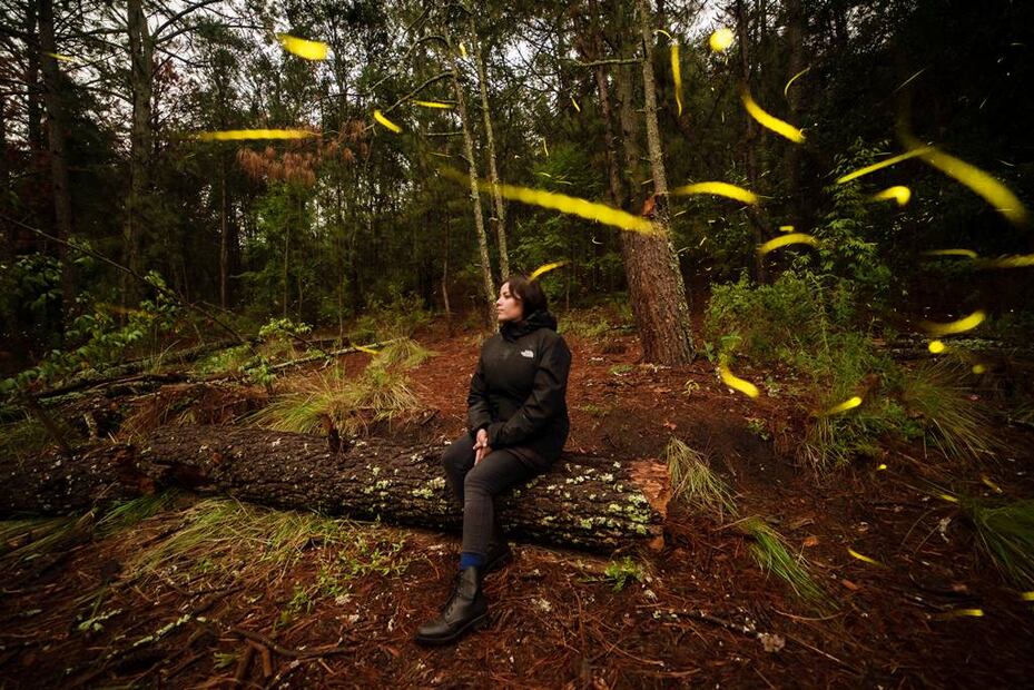 Foto: Canto del Bosque