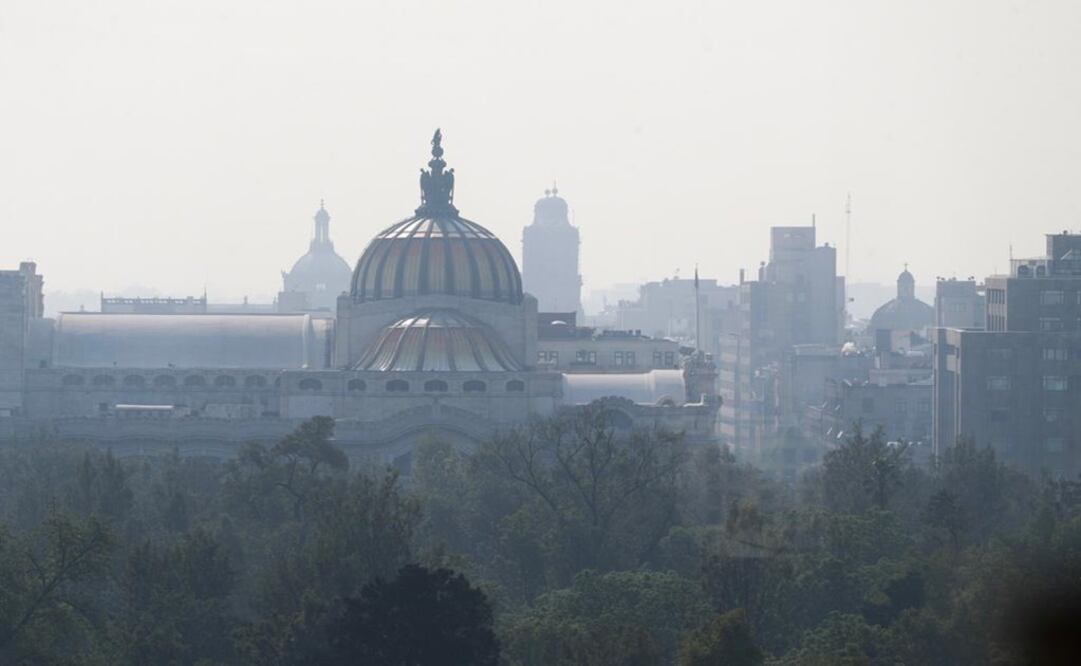 Foto: Archivo/EL UNIVERSAL