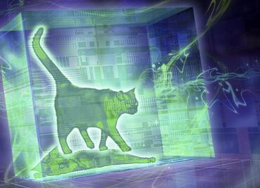 ¿Conoces la filosofía del gato de Schrödinger, el experimento icónico de la física cuántica?