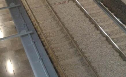 Cae colombiano que intentó lanzar a su novia a las vías del Metro Hospital General