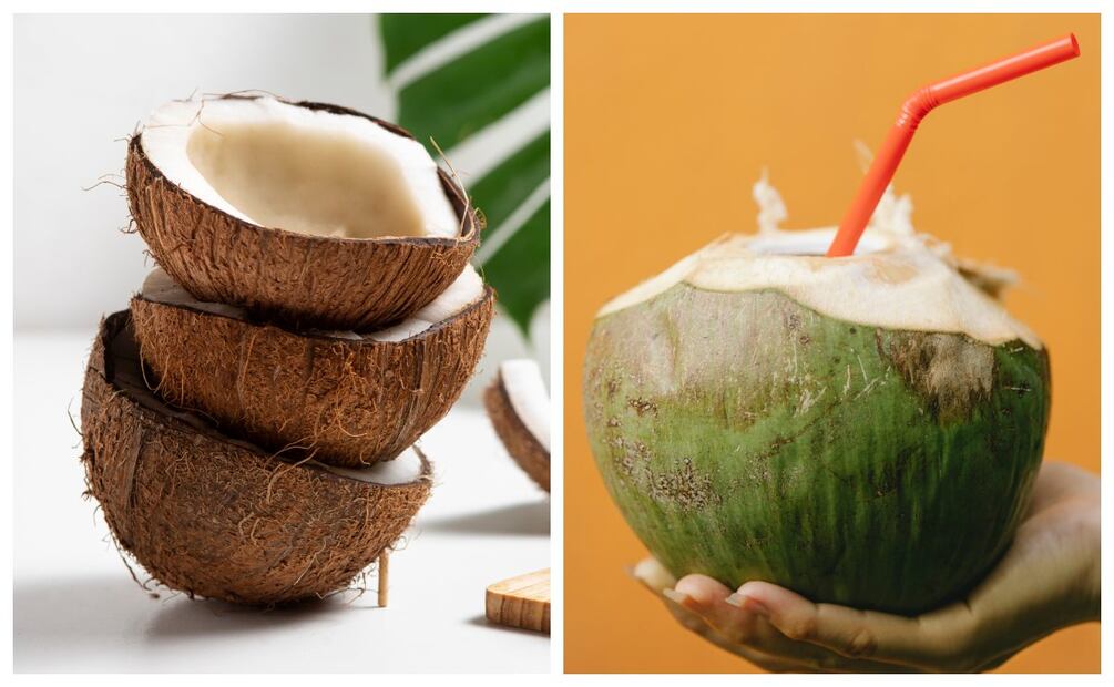 Disfruta de las propiedades y beneficios del agua de coco antes de la hora de la comida. Imagen: Freepik y Pexels.