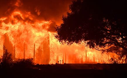 Incendios en viñedos de California dejan 21 muertos