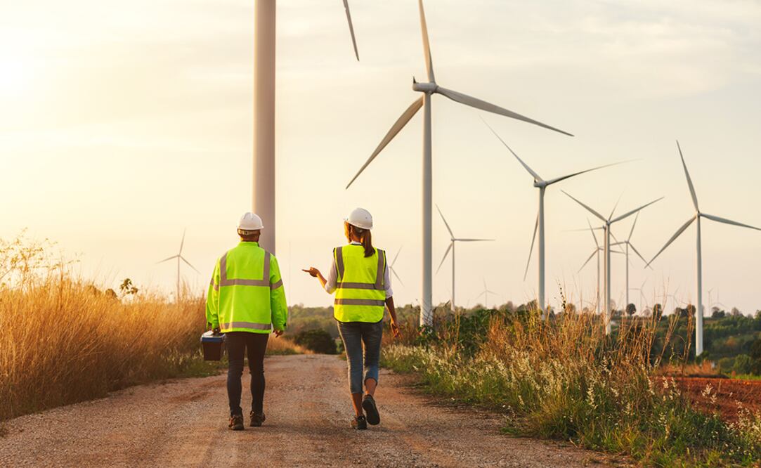El gobierno mexicano no ha avanzado en la adopción de estas energías y continúa apostando al gas natural y los hidrocarburos. Foto: iStock
