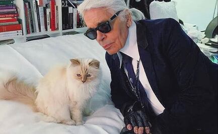 Día Internacional del Gato: Conoce a Choupette, la gata más rica de la moda