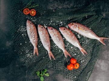Las 13 especies de pescado que no tienen mercurio