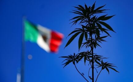 Se cumple el sueño de Caro Quintero y "El Chapo"