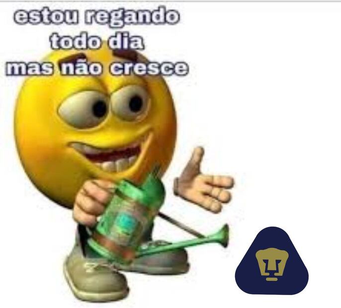 Memes Pumas